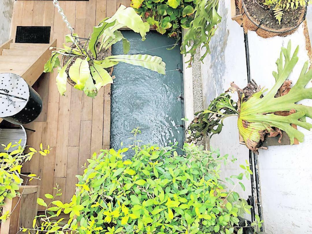Rimba Jonker, Melaka Heritage Residance 外观 照片